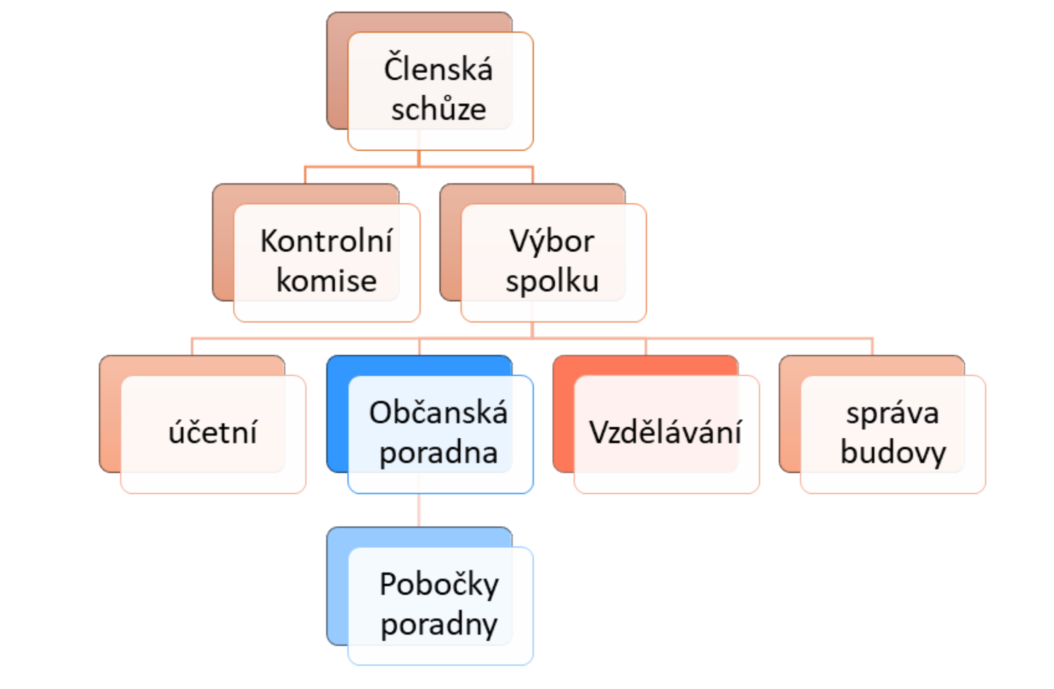 struktura_organizace